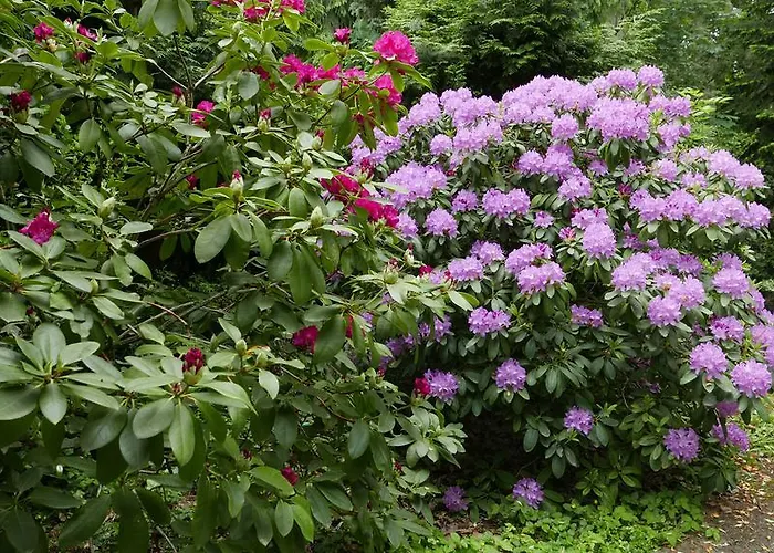 W.i.p. Welt Im Park Δωμάτια σε οικογενειακή κατοικία *