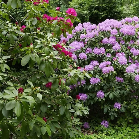 W.i.p. Welt Im Park Quarto em Acomodações Particulares *